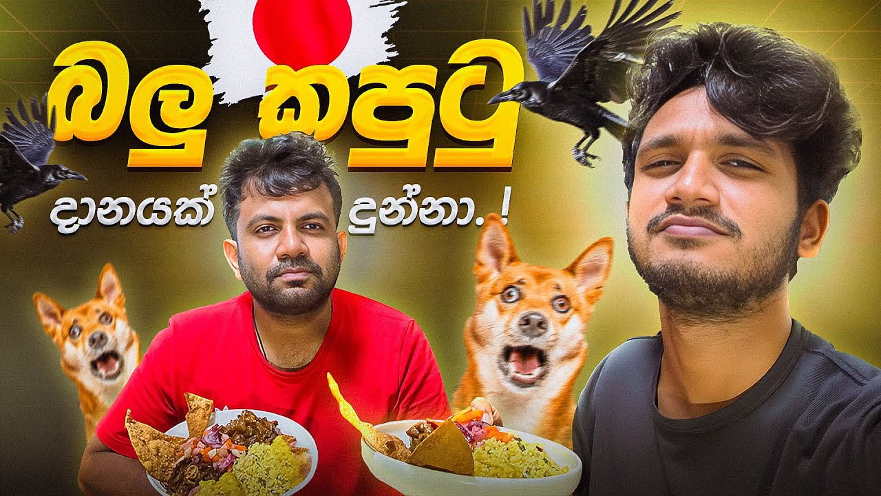 ජපානේ බලුකපුටු දානයක් දුන්නා | ජීවිතේ පලවෙනි වතාවට Mutton කෑවා | Shopping + Cooking Vlog in Japan