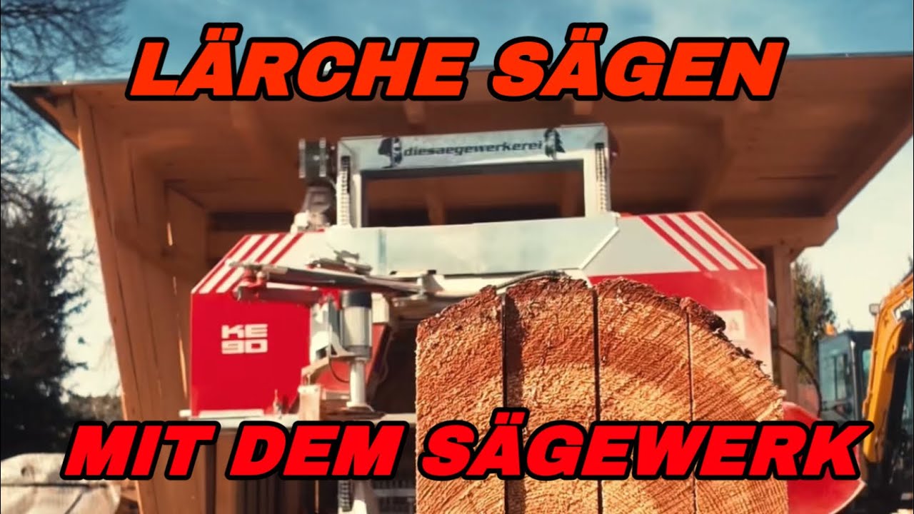 Wie s&auml;gt man L&auml;rche mit dem S&auml;gewerk?