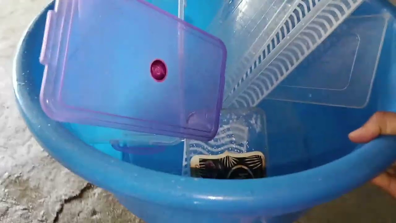  আজ সারাদিন কীকী কররলাম 😍#youtube 