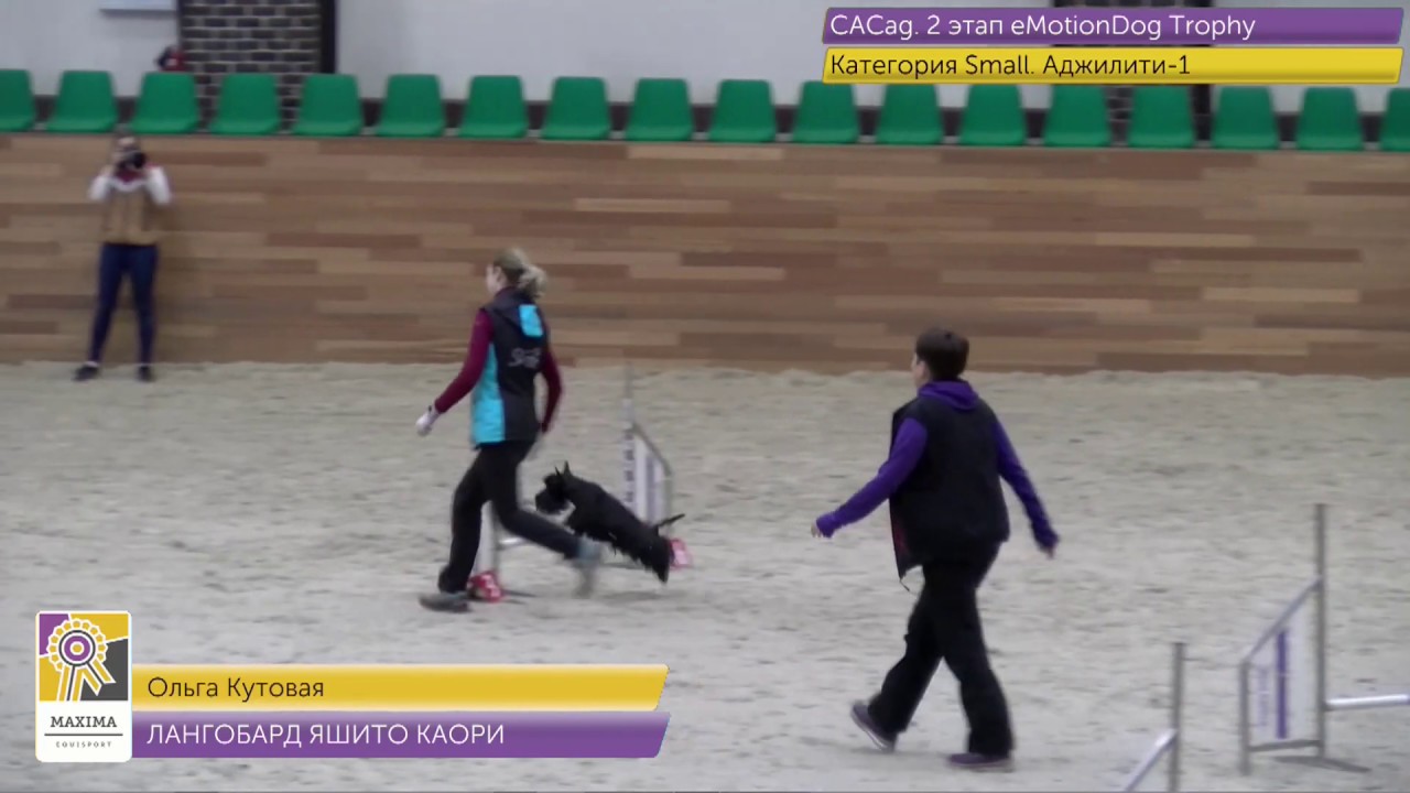 Аджилити Скотч терьер  1-е МЕСТО !!!)))  Ольга и Джессика