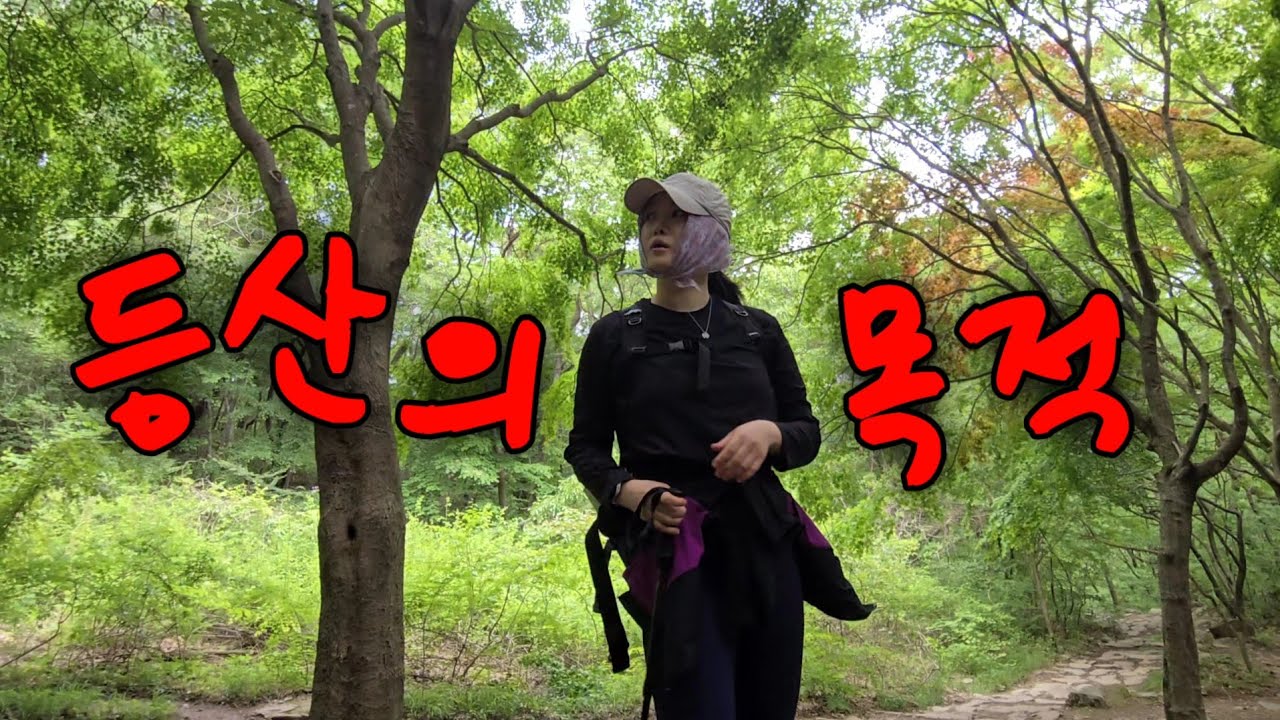 두근두근 심장아 나대지마!! 여자 혼자 등산하면 벌어지는 일