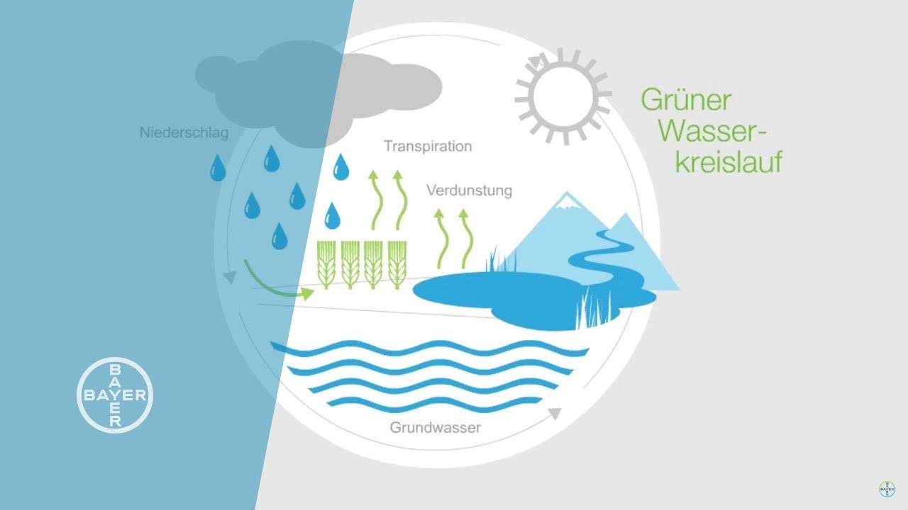 Den Wassermangel &uuml;berleben