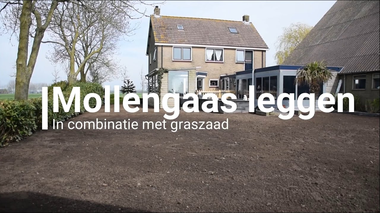 Gras inzaaien in combinatie met mollengaas of mollennet leggen.