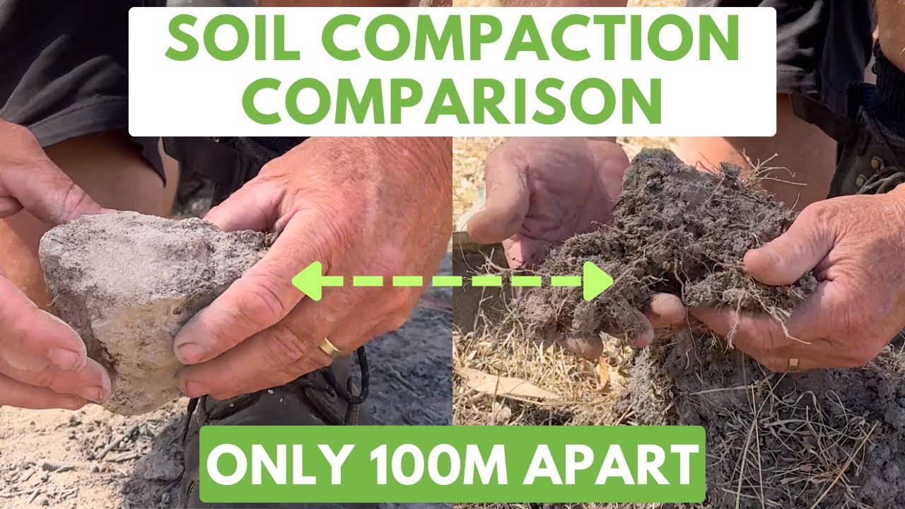 Fixing Soil Compaction: Side-by-Side Paddock Results (Healthy vs Hard Ground)