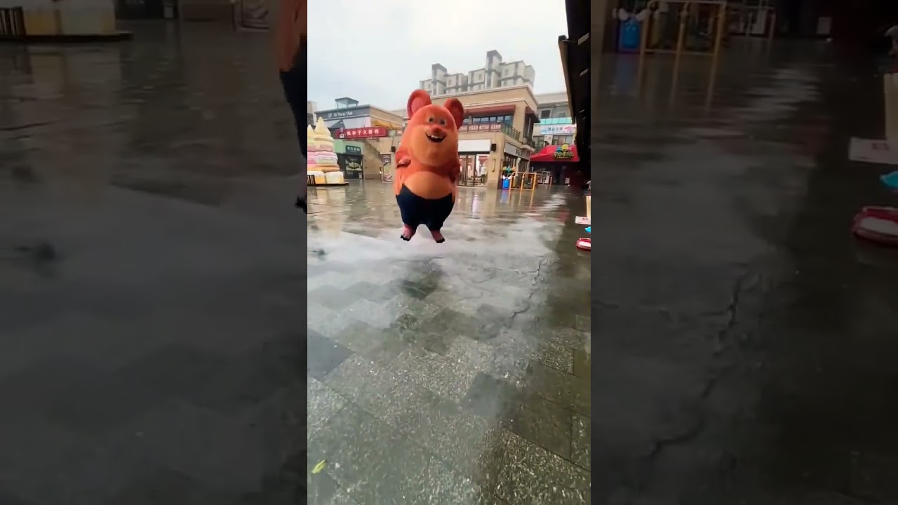 Pota pota