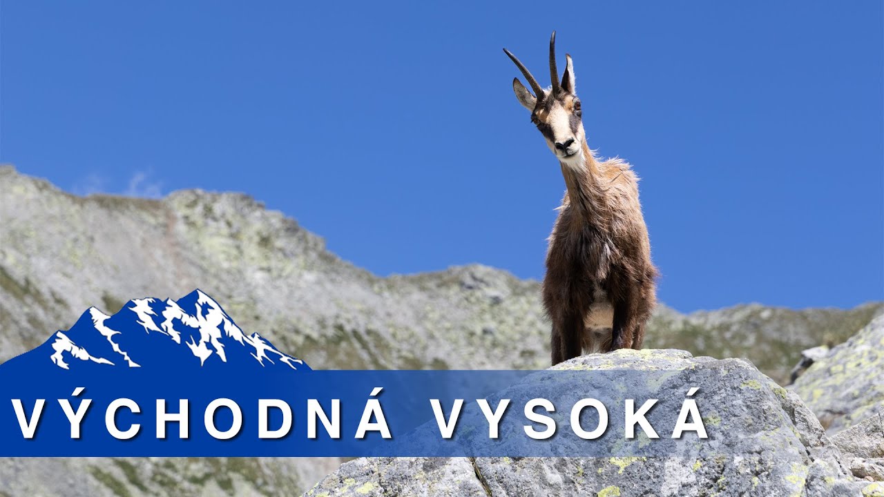 VÝCHODNÁ VYSOKÁ - nádherný okruh zo Smokovca cez Sliezky dom, sedlo Prielom a Zbojnícku chatu