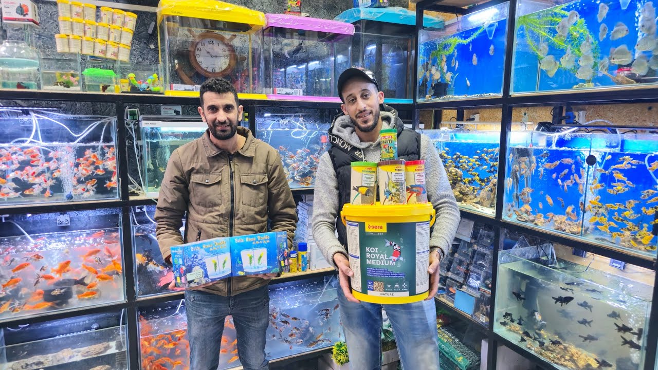 عشاق أسماك الزينة🐠الجديد عند حسن أجيو نتولعو ونتعرفو على أتمنة مختلف أنواع الأسماك أكل لوازم فرجة مم