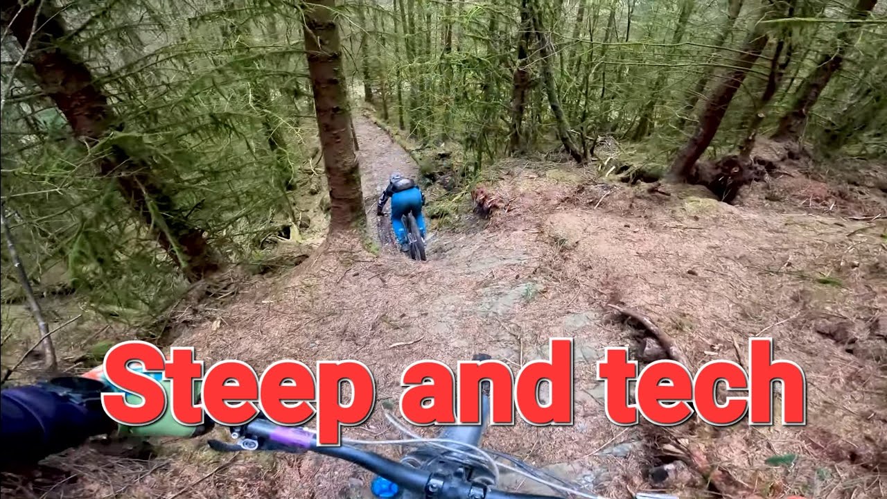 exploring the dyfi forest. steep tech incoming.