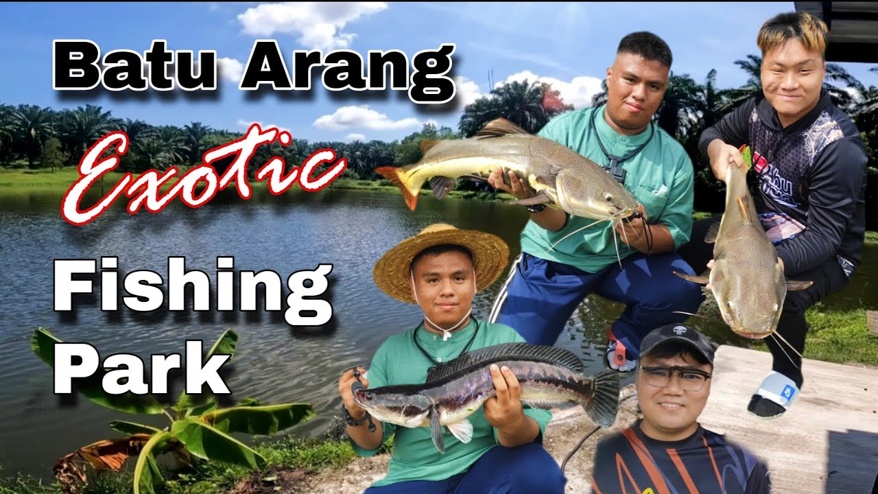 Batu Arang Exotic Fishing Park | Amazon Catfish Hari Raya Haji | Batu Arang, Selangor