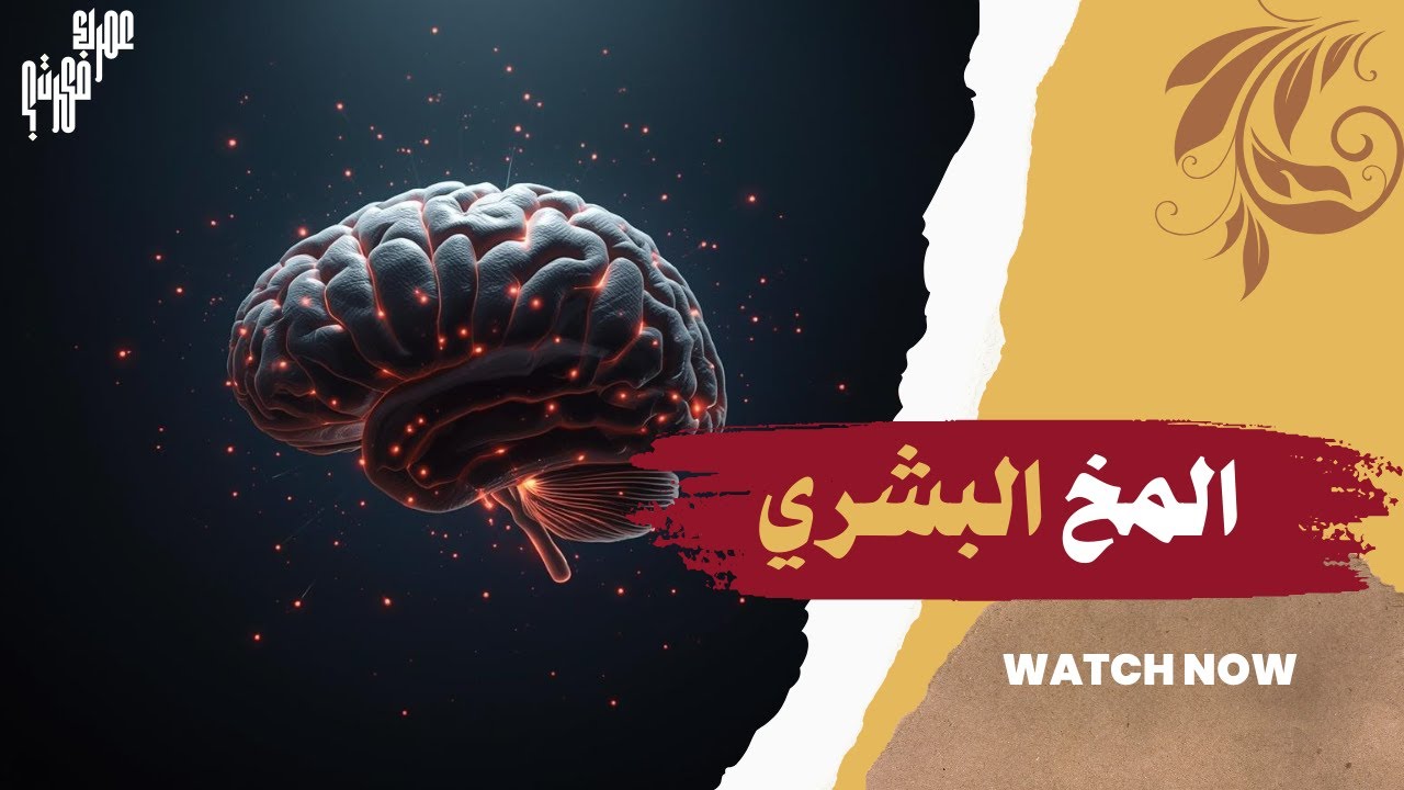  عمرك فكرت ؟ | المخ البشري 🧠