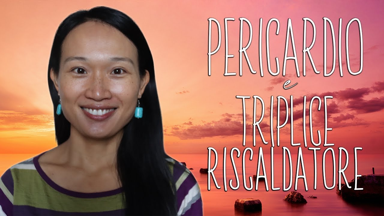 IL PERICARDIO E IL TRIPLICE RISCALDATORE ☯️ | Elemento Fuoco 🔥