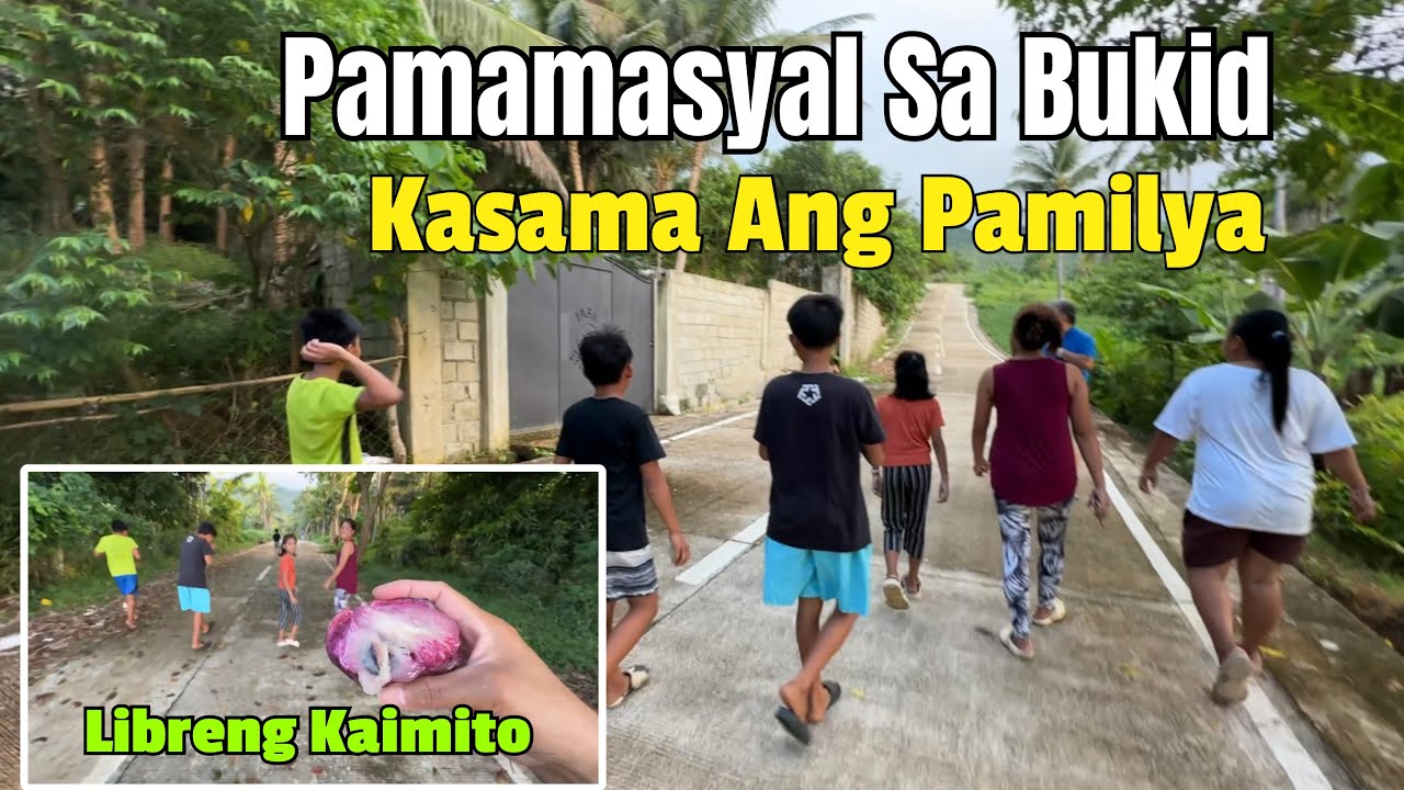 Pamamasyal sa Bukid |  Libreng Kaimito Fruits sa probinsiya