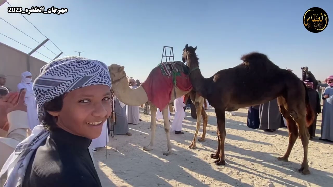 مهرجان الظفره اليوم الاول