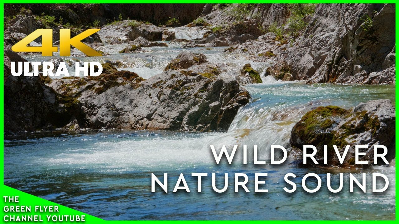 WILD MOUNTAIN RIVER WITH NATURE SOUNDS - relax and enjoy the beauty of nature #nature #relax