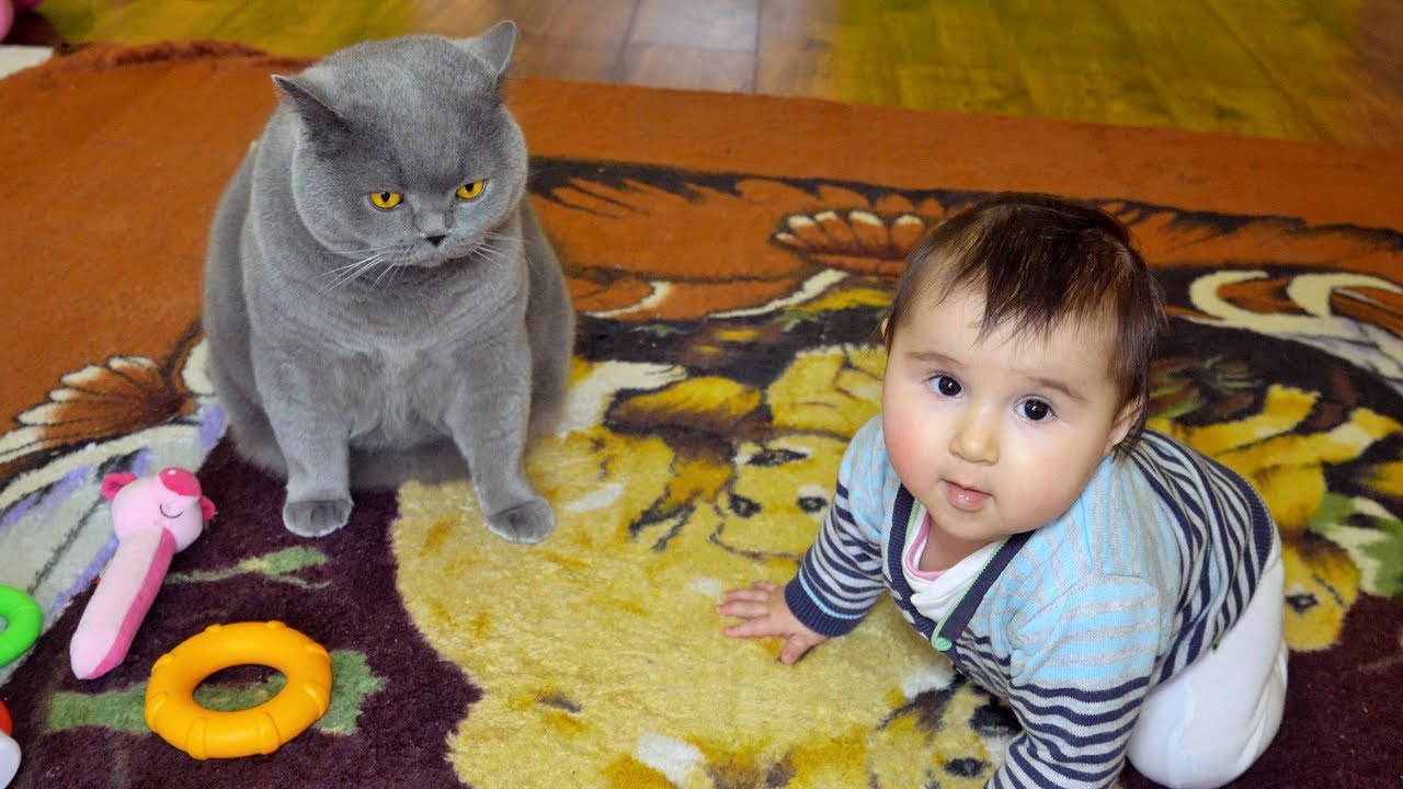 Baby wants to hug the Cat