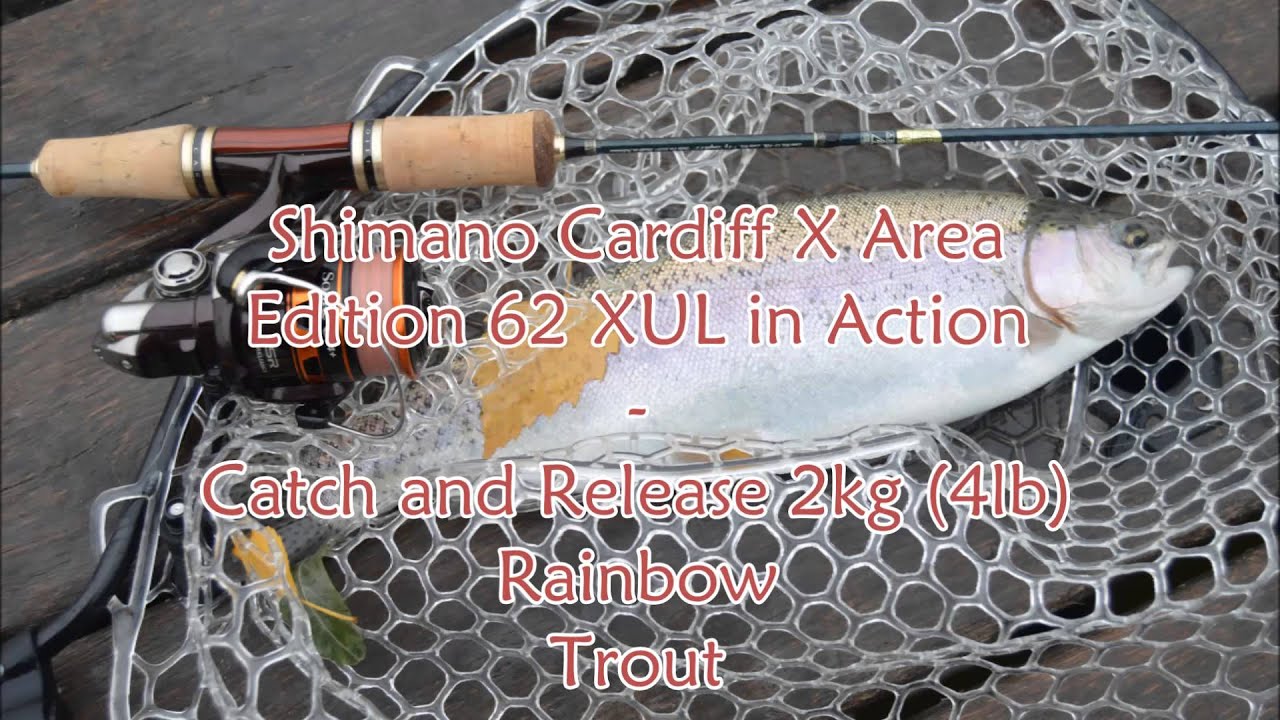 Review of the Rod Shimano Cardiff X Area Edition & Trout fishing in action - catching the 2kg trout