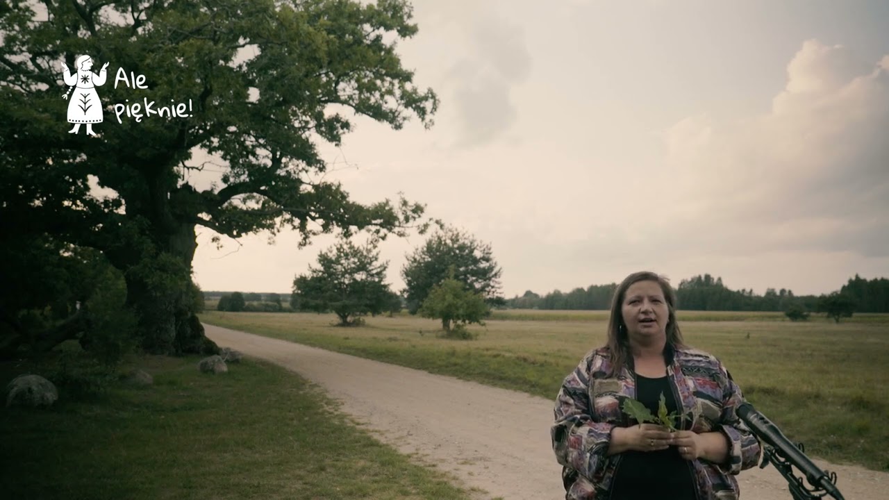 Julita Charytoniuk - Oj po pryzbonci #alepięknie