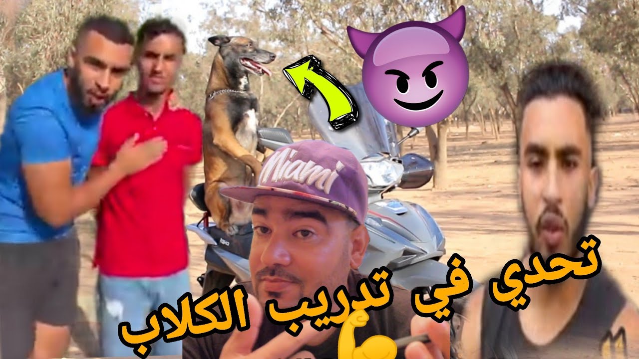 تحدي في تدريب الكلاب 💪Dog training challenge @ZakariaNani @moha.chnider