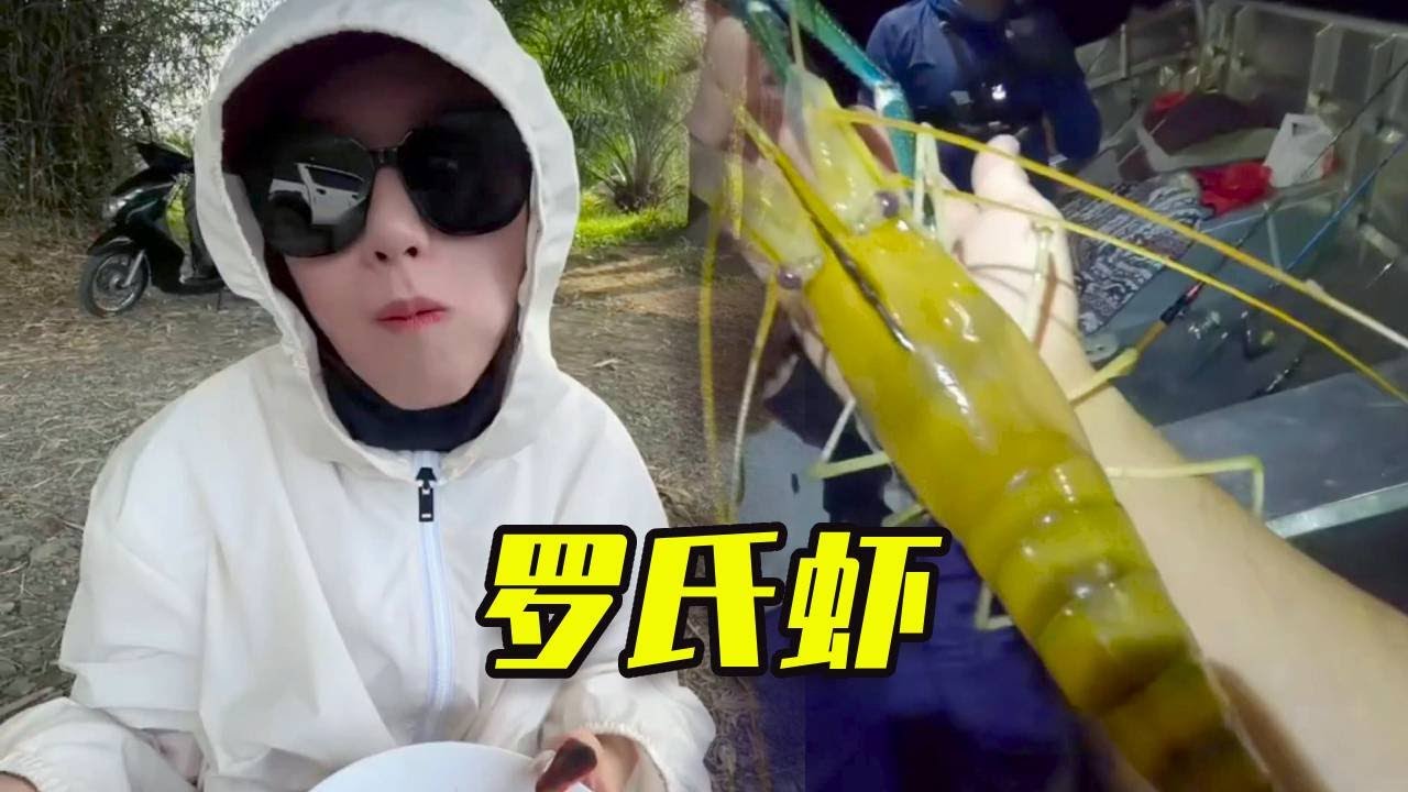 帥小夥帶女友前往泰國熱帶雨林，尋找大腿長的大麦克羅氏蝦# 大豪夫婦#釣魚 #fishing #戶外 #釣魚 #fishing #大魚 #戶外 #搞笑