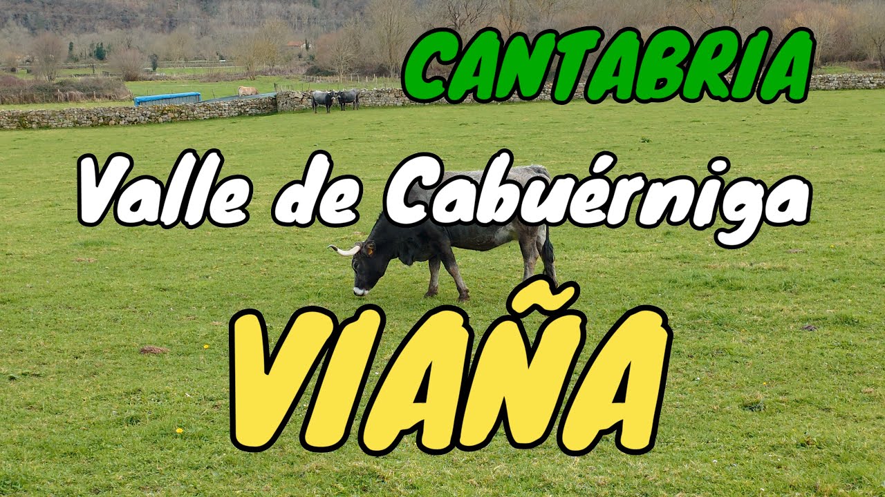 VIAÑA. Naturaleza y Encanto Rural en el Corazón del Saja-Besaya. Valle de Cabuérniga. CANTABRIA.