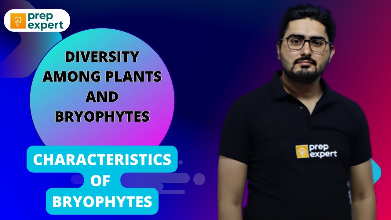 Exploring the Fascinating World of Bryophytes: Unraveling the Diversity Among Plants | PREP EXPERT