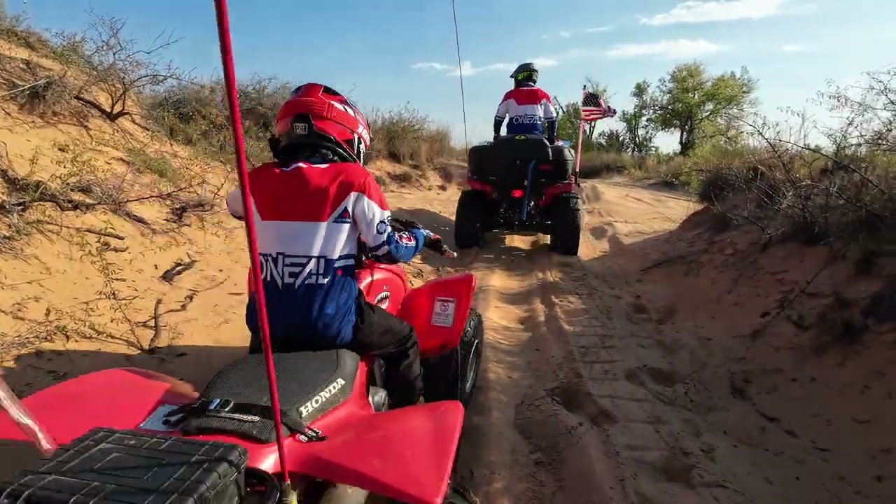 2025-10 - Rooster on sand dunes trails