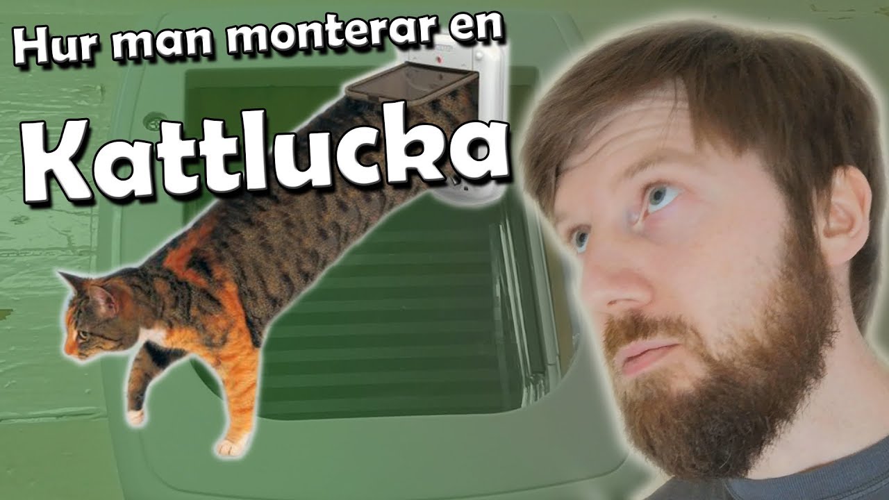 Installerar en kattlucka