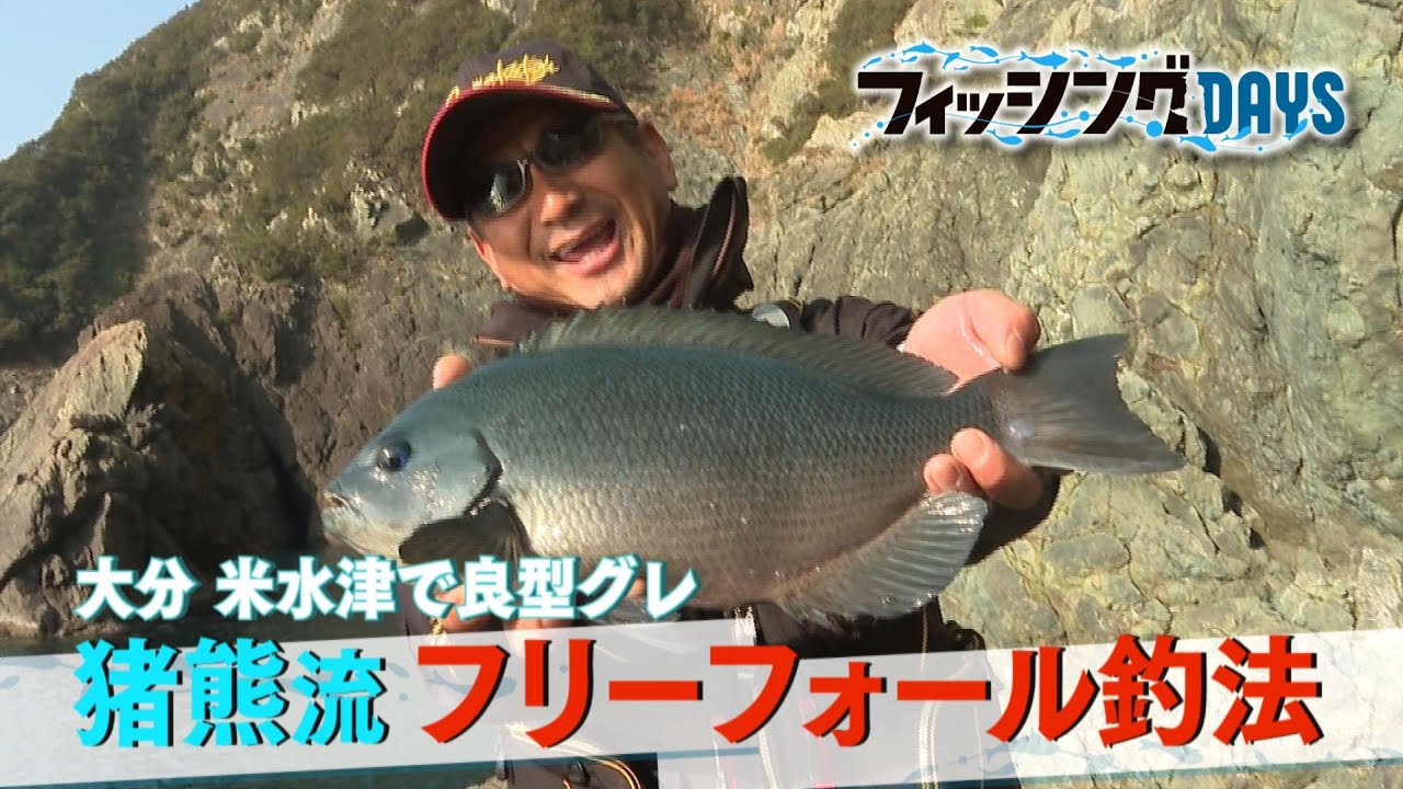 フィッシングDAYS「大分 米水津で良型グレ 猪熊流 フリーフォール釣法」