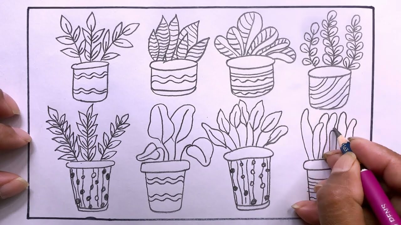 How to draw home plant/drawing home plant/Plant drawing easy