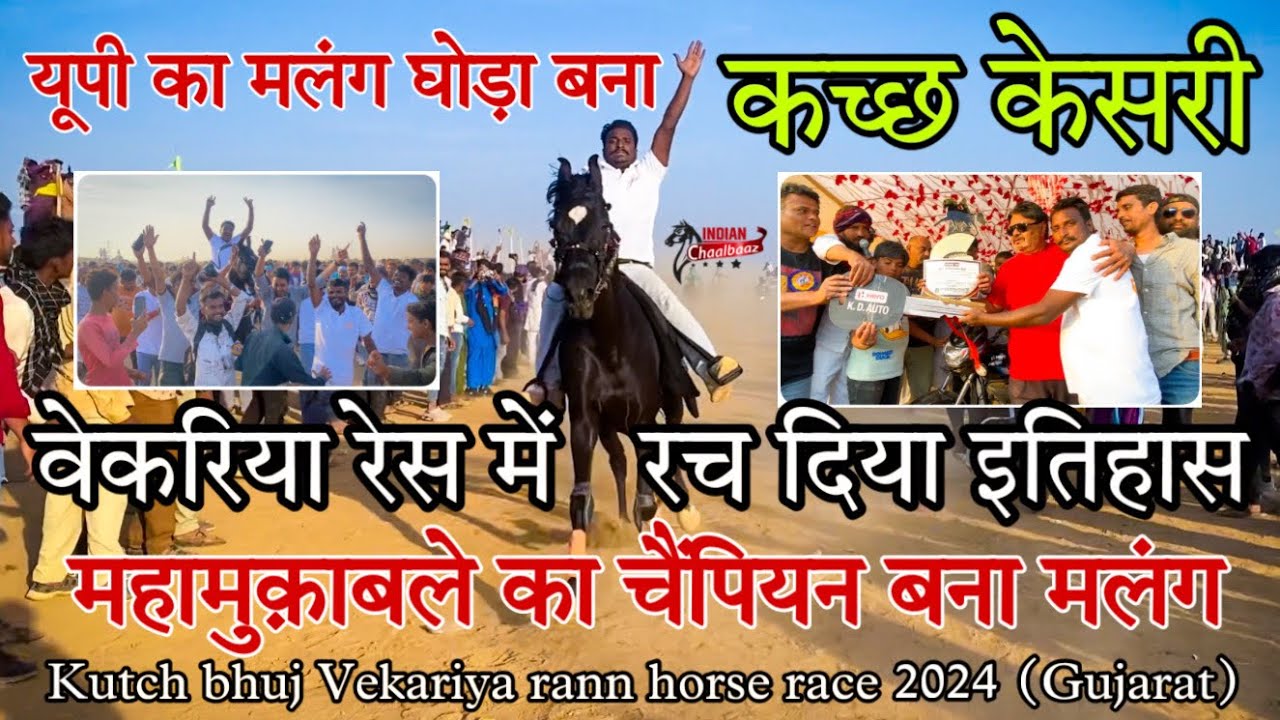 यूपी का मलंग घोड़ा बना कच्छ केसरी वेकरिया रेस में रच दिया इतिहास Kutch bhuj race 2024