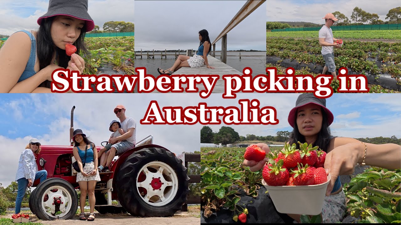 Got injured while picking strawberries in Australia