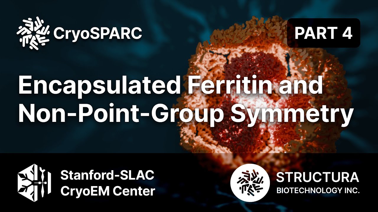 Encapsulated Ferritin and Non-Point-Group Symmetry (Part 4 of 6)