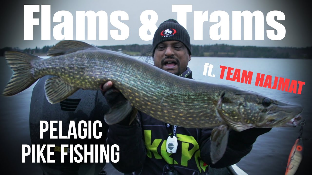 Flams & Trams ft. Team Hajmat | Pelagic Pike Fishing in Cold Water - Kanalgratis.se