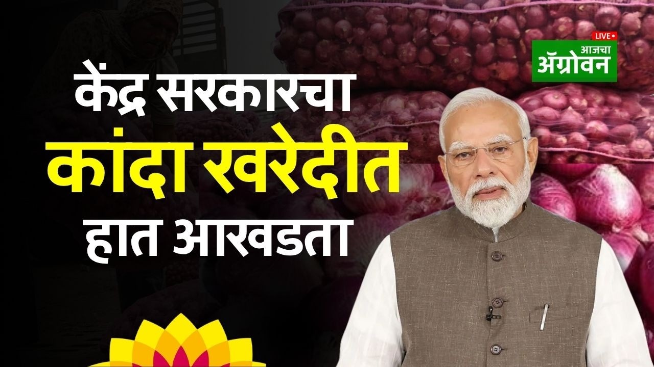 Agrowon News: आजच्या शेतीच्या बातम्या | 9-4-2026 - Onion Procurement Policy | Agrowon Live