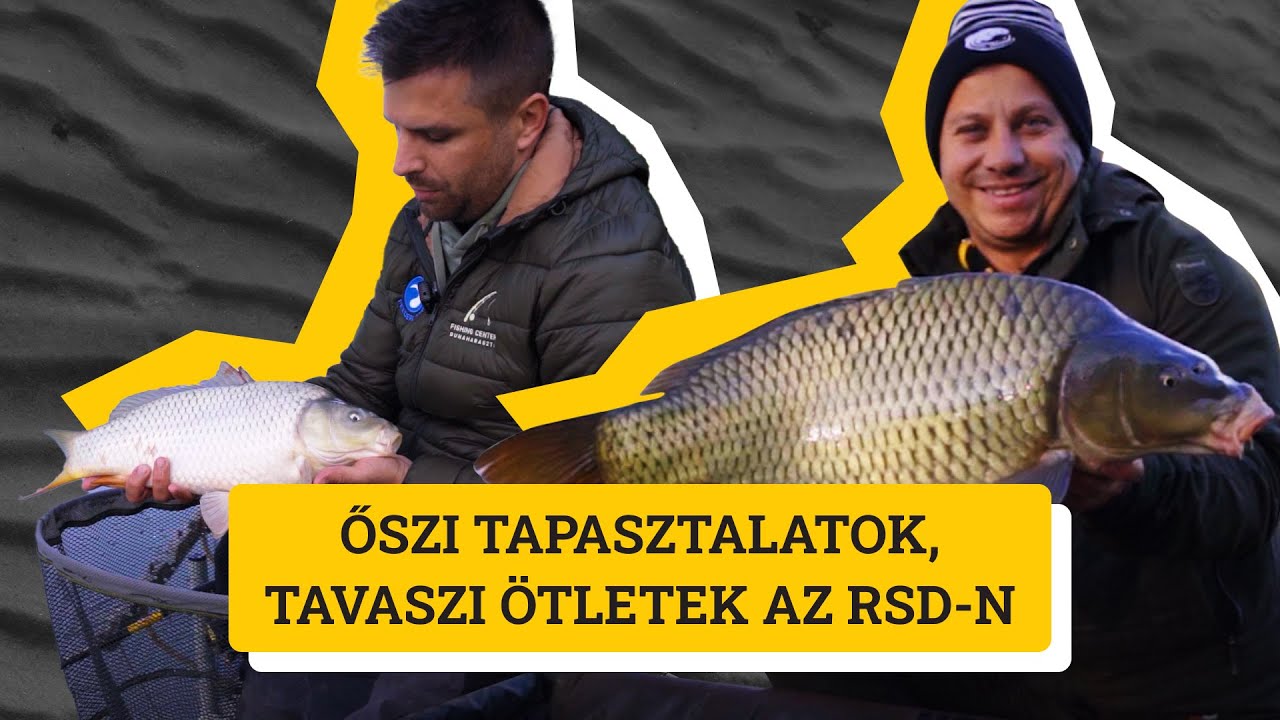 Őszi tapasztalatok, tavaszi ötletek az RSD-n
