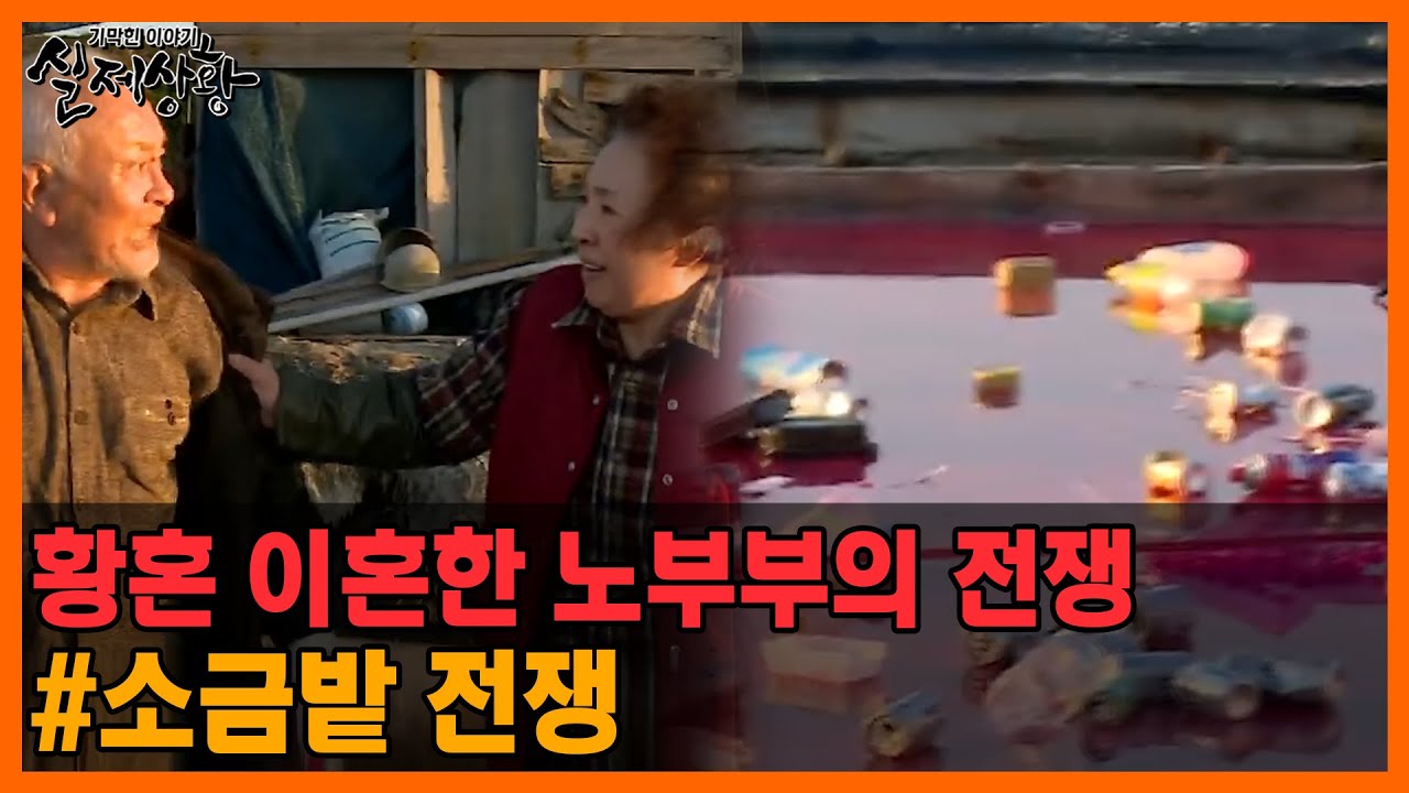 ✨20분 풀영상✨ 염전이 피범벅으로 물들었다!! 소금밭에서 벌어진 전쟁  [실제상황] MBN 141030 방송