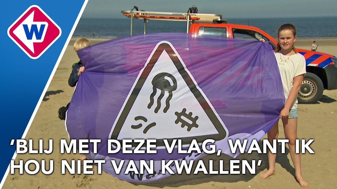 Wat betekenen deze nieuwe vlaggen op het strand?