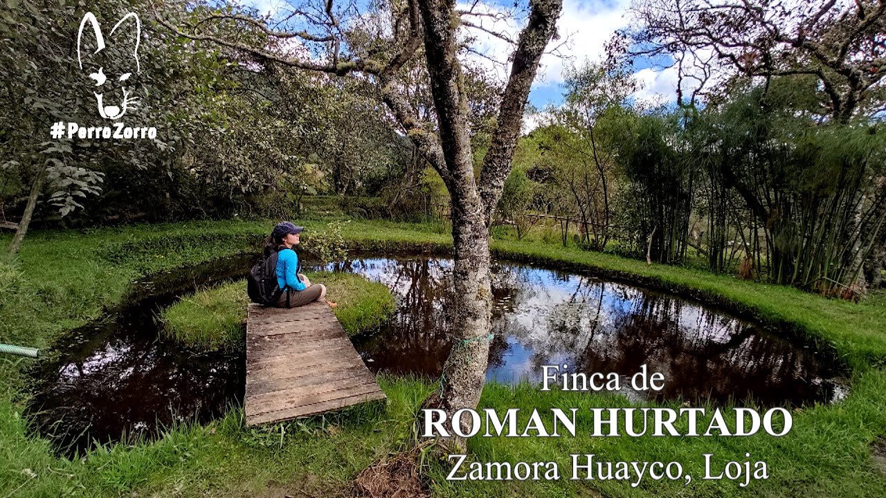 Finca de ROMÁN HURTADO, ONCE LAGUNAS, Zamora Huayco, Loja. #PerroZorro #Ecuador