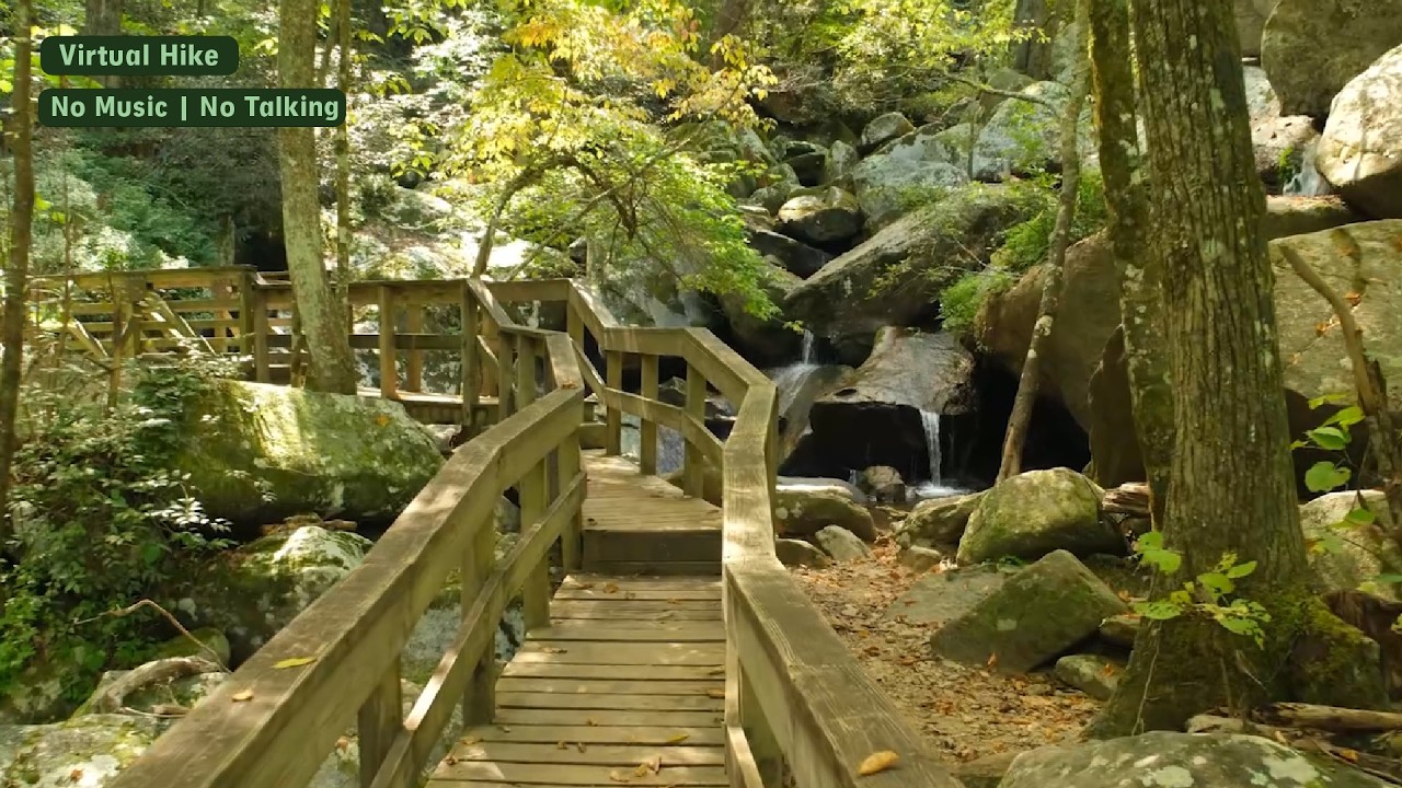 Virtual Hike through Trails at South Mountains State Park in North Carolina | No Music