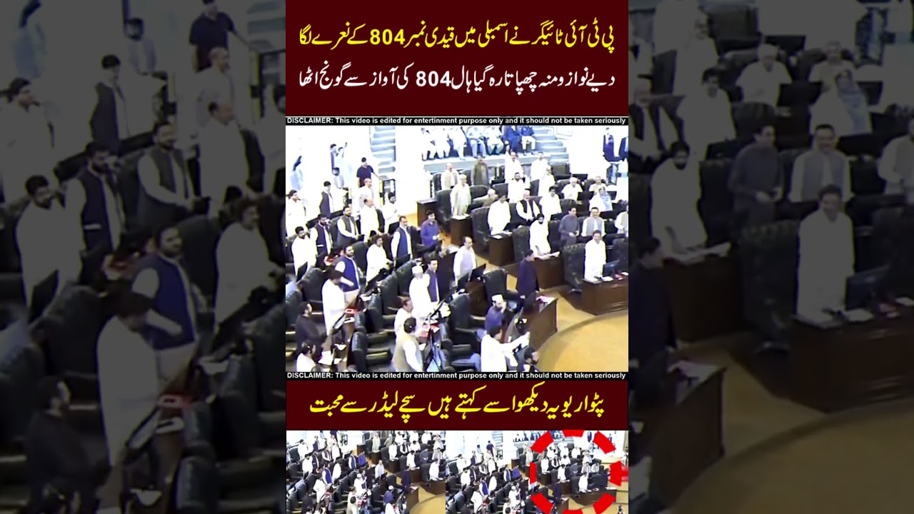 Chants of 804 in the assembly 😱😱#imrankhan #pti #maryamnawaz #pmln