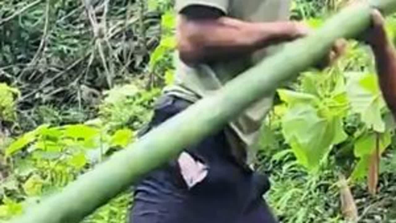 #纪录片 #尖货星期天