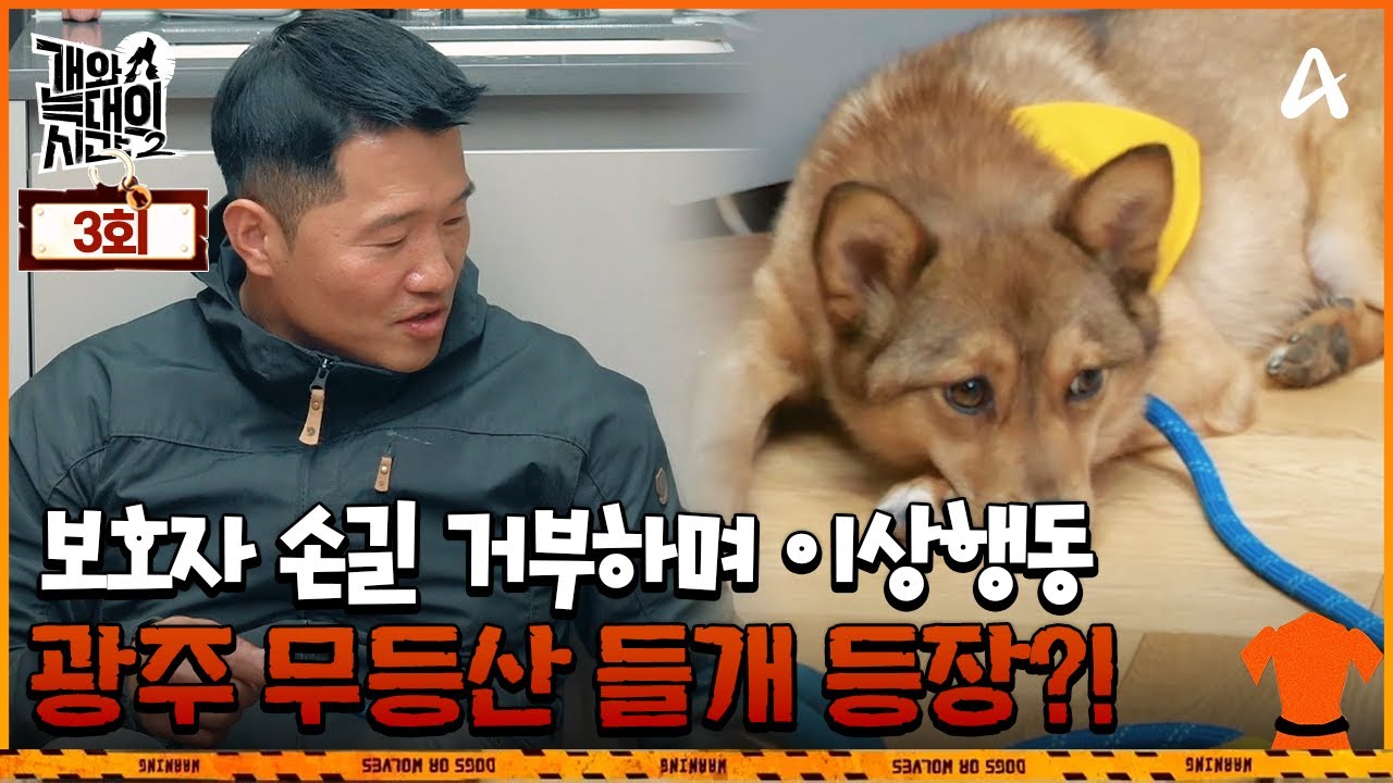 [예능] 개와 늑대의 시간 시즌2 3회_250121_들개의 후예: 들개를 구조했다