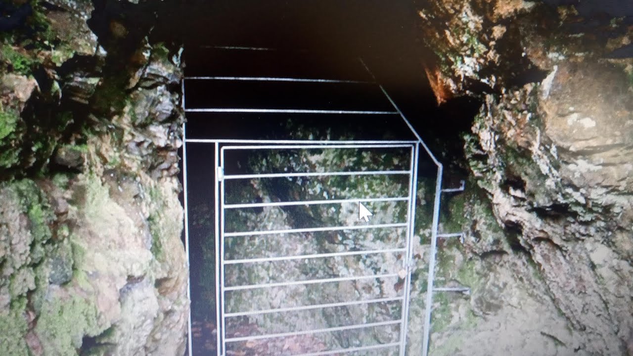 Tamar valley mine walk