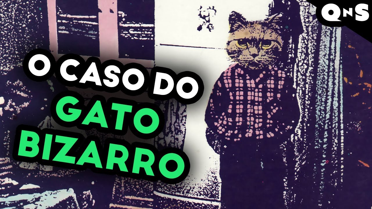 GATO É BICHO ESCROTO! Gatos agindo como gente é muito estranho!