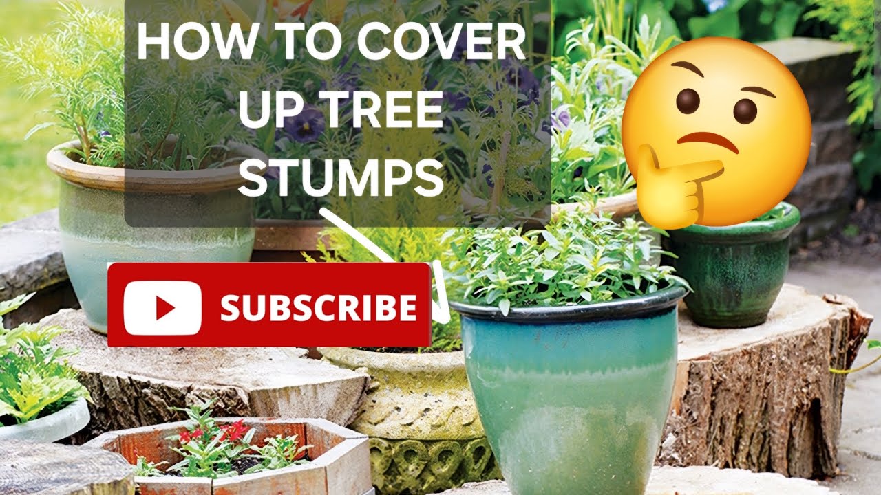 How to cover up tree stumps.