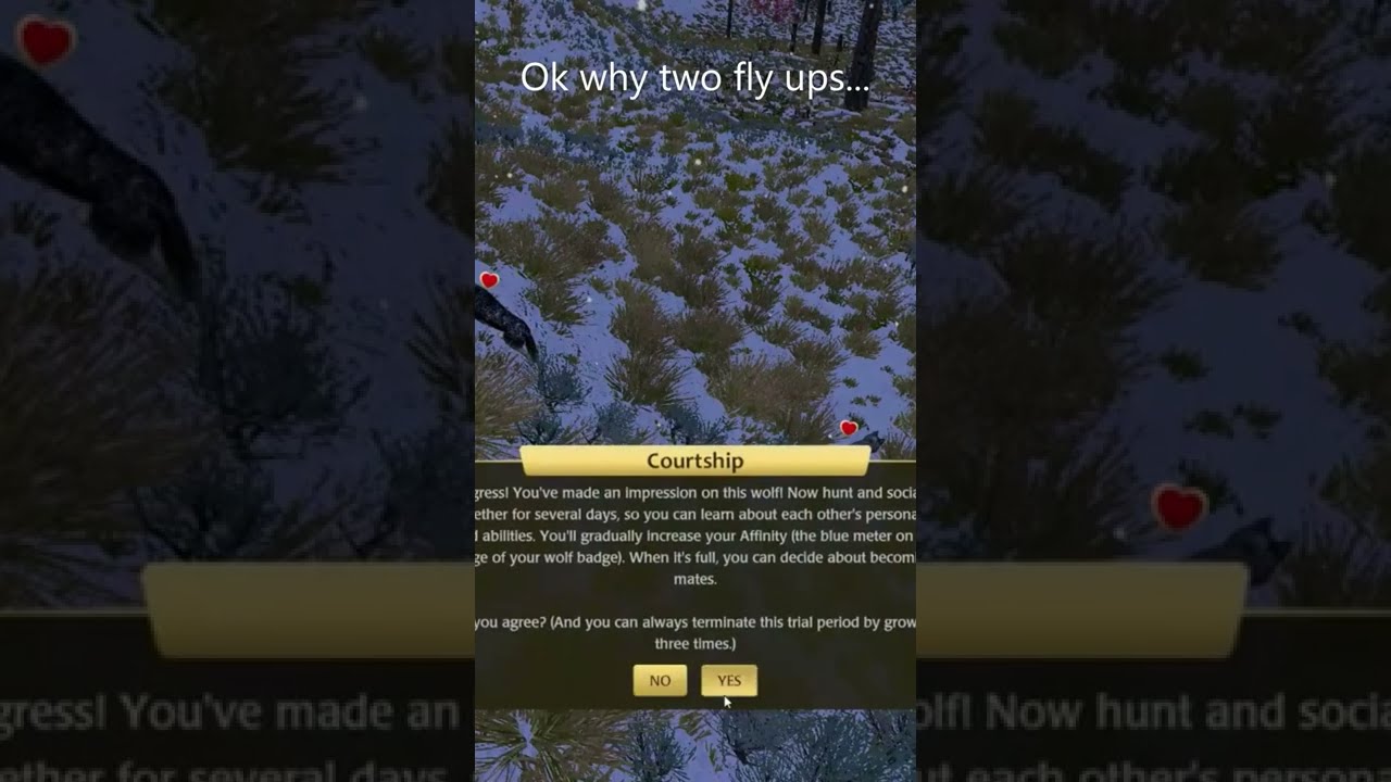 Does that mean Two mates???( WolfQuest Anniversary Edition)