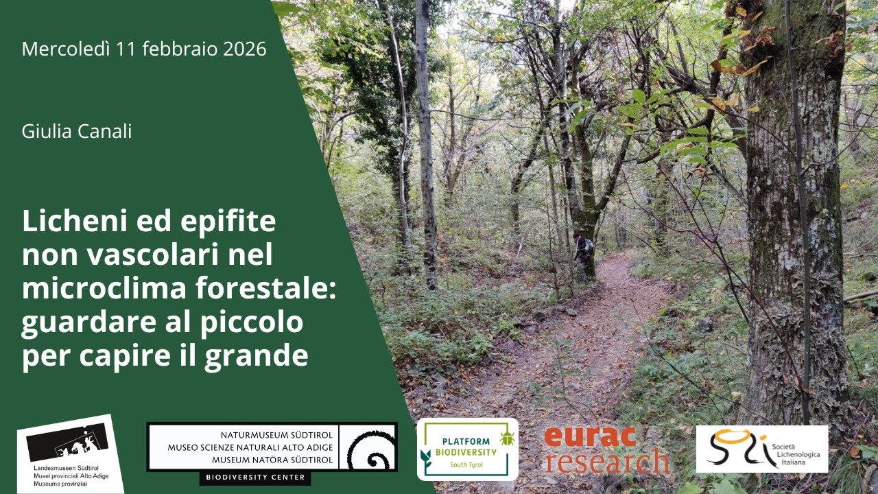 Licheni ed epifite non vascolari nel microclima forestale: guardare al piccolo per capire il grande