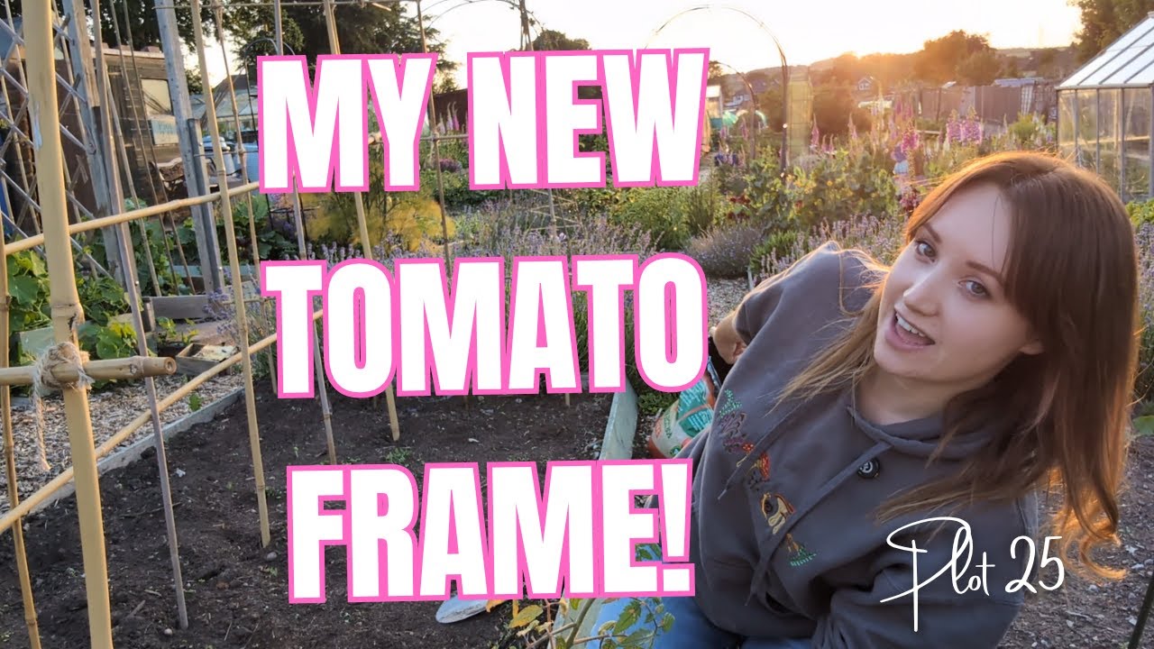 The Tomatoes go out! Building a new Tomato frame || Allotment Vlog || Allotment Gardening UK