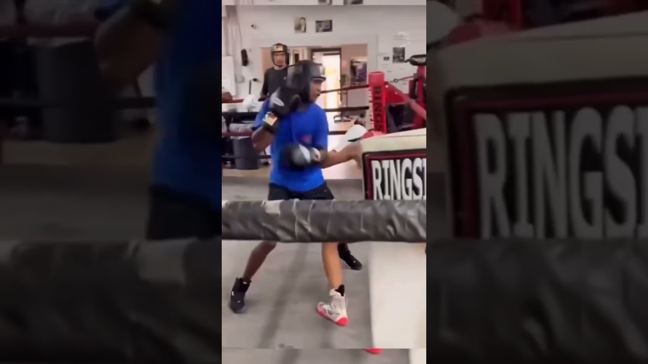 Sat him all the way down | #shorts #boxing