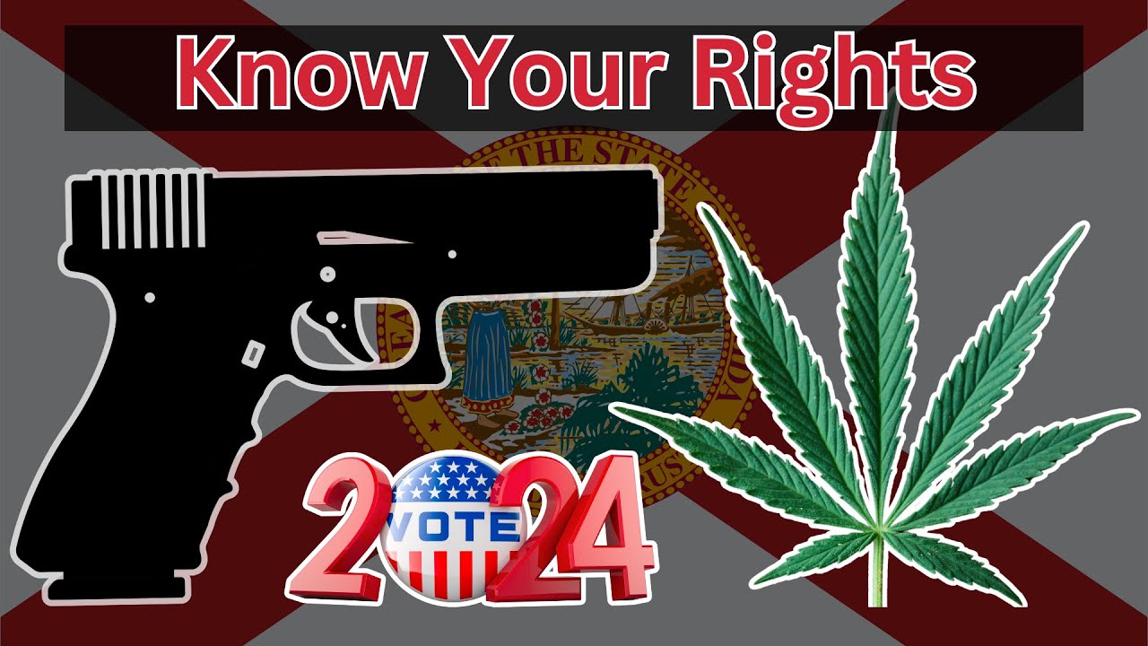 Amendment 3 for Firearms Owners - Lawyers Discuss